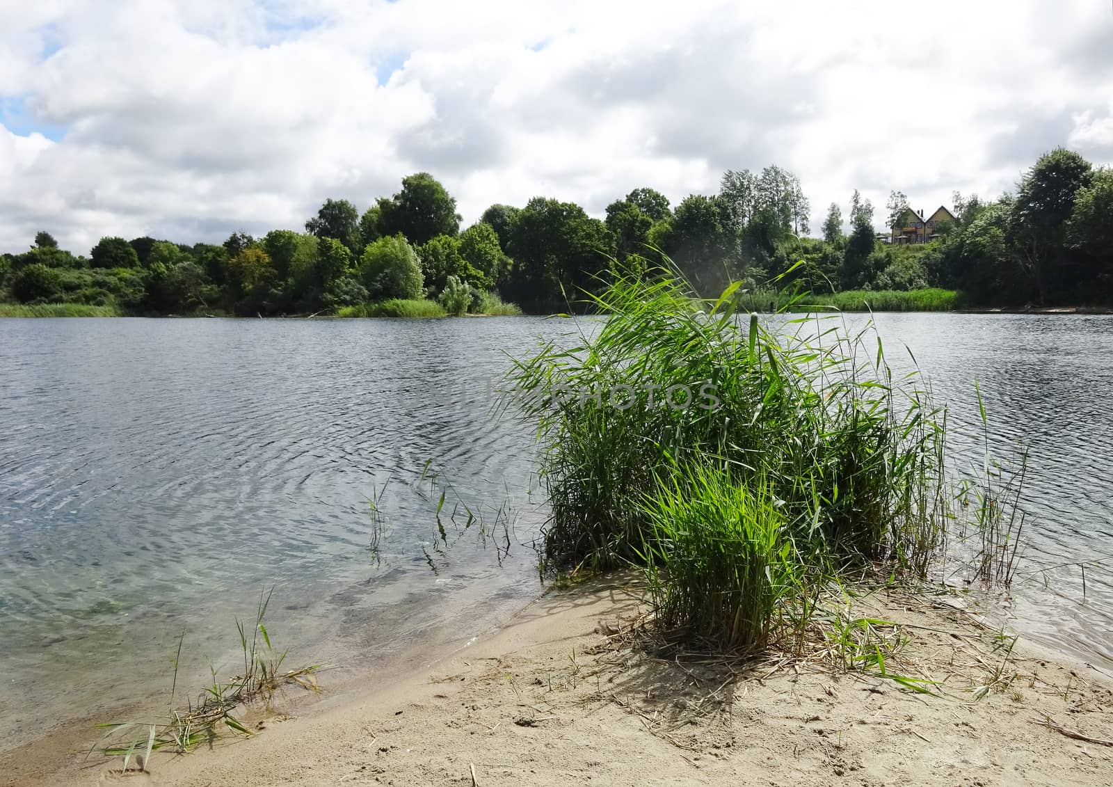 river landscape with forest and blue cloudy sky on sunny summer day