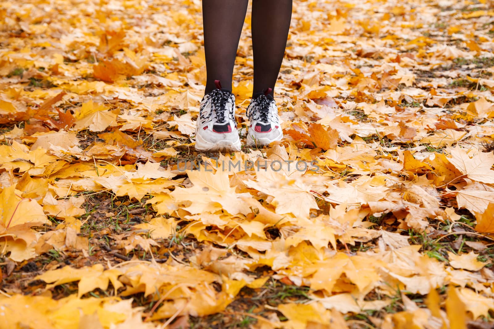 woman standing on alley of city park with yellow leaves on sunny autumn day. legs closeup