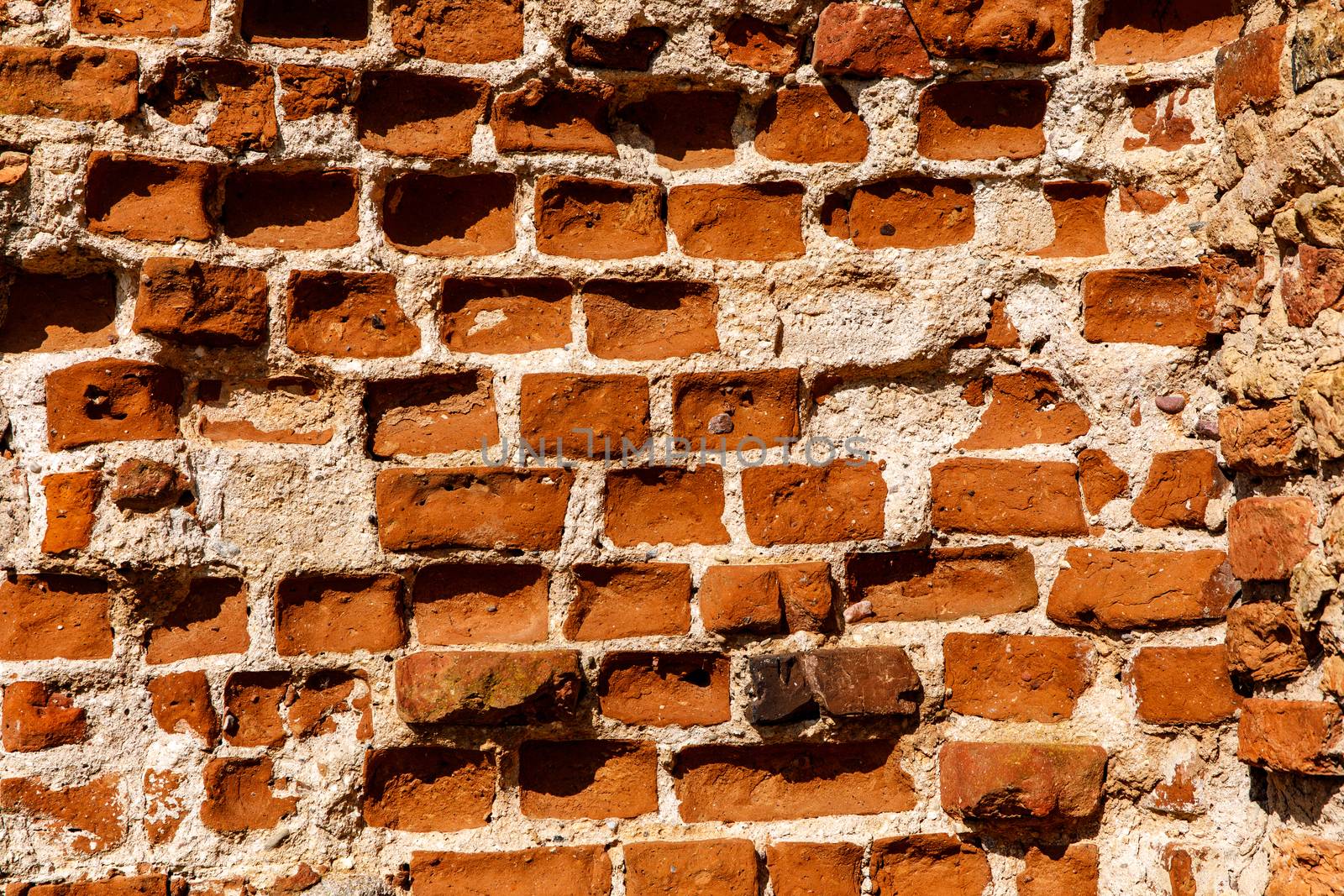 Brick wall texture in sunlight