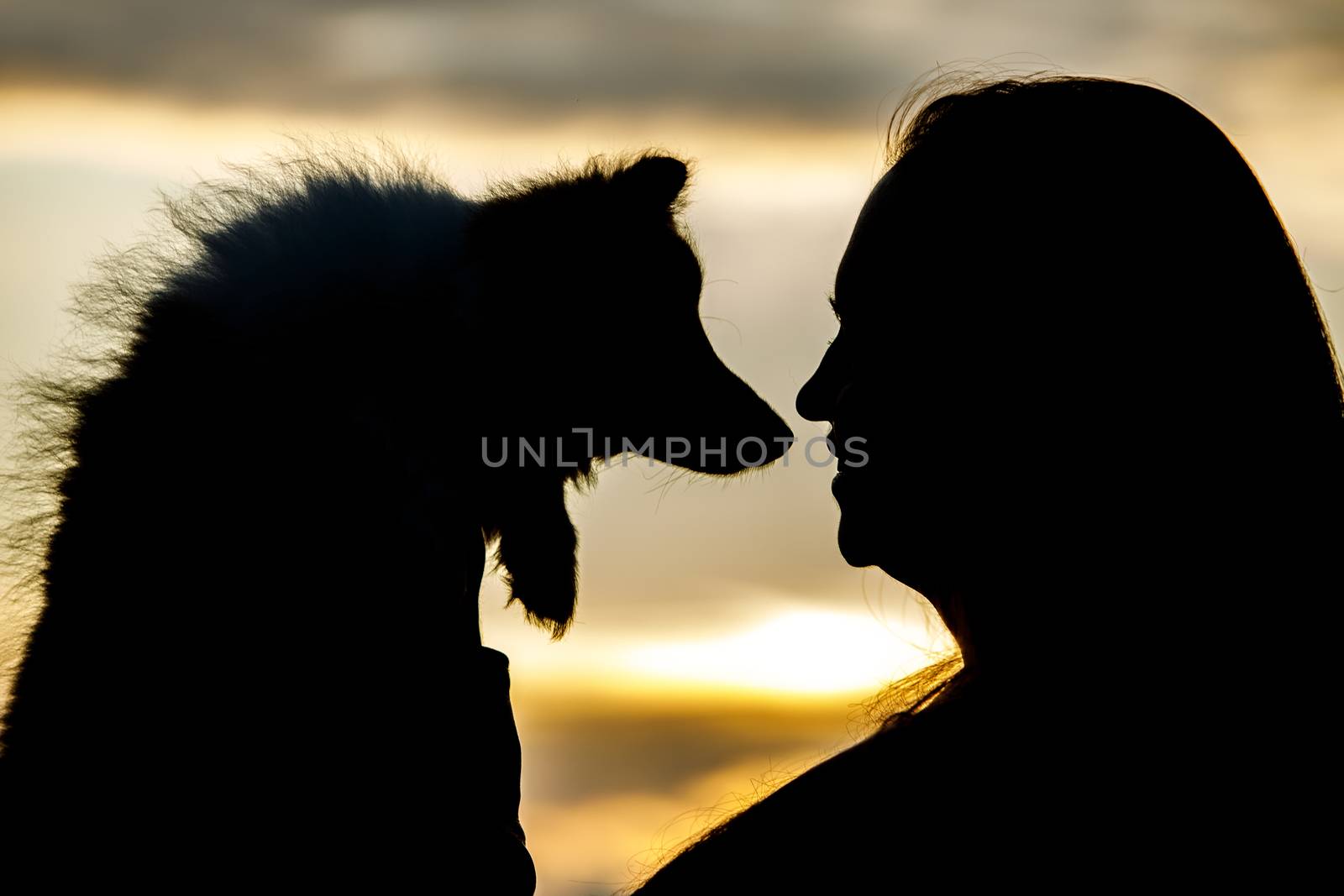 Woman and dog silhouettes on sunset clouds