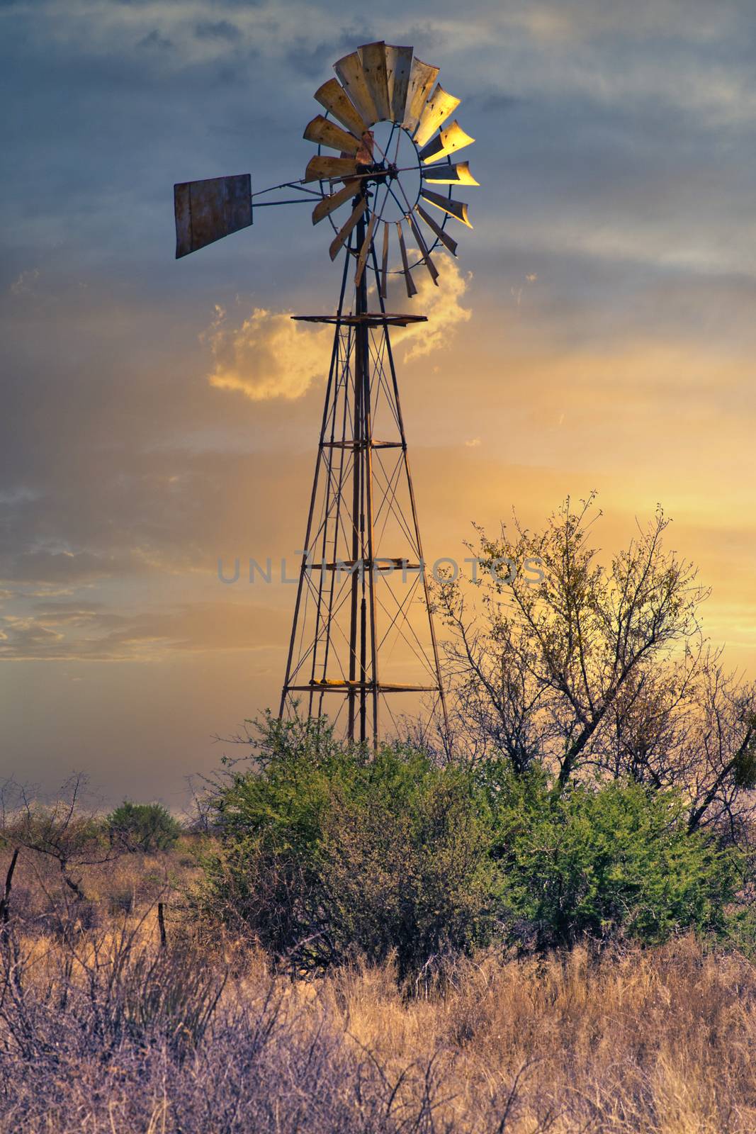 Farm water pump windmill in the field during sunset