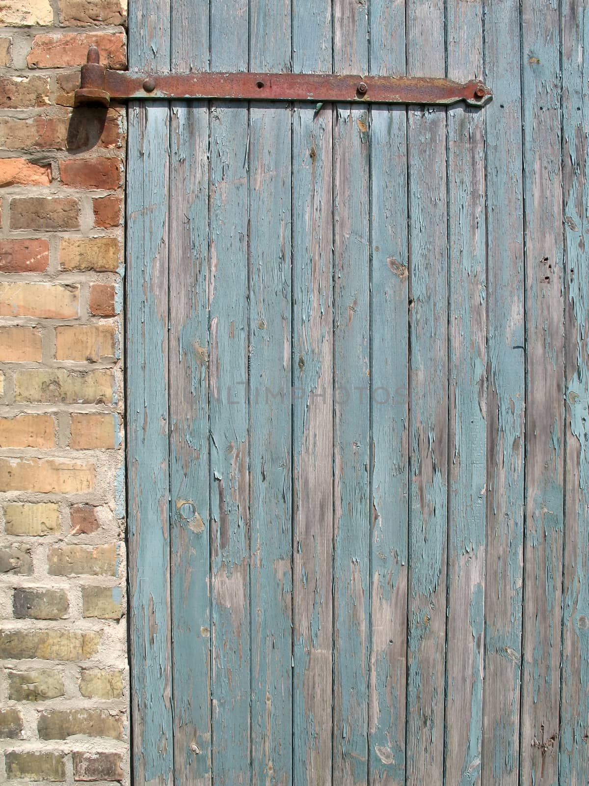 Weathered wooden door by SchneiderStockImages