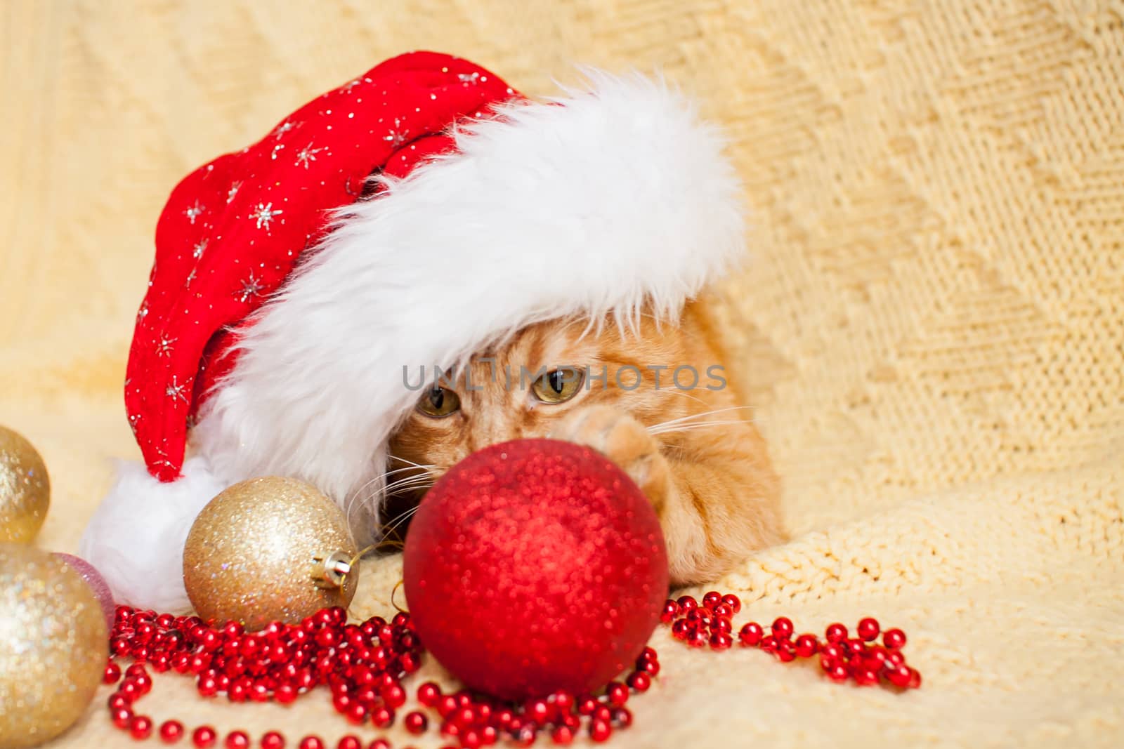 funny fat ginger cat in Santa Claus Christmas hat lies on a yellow blanket surrounded by New Year's toys by malyshkamju