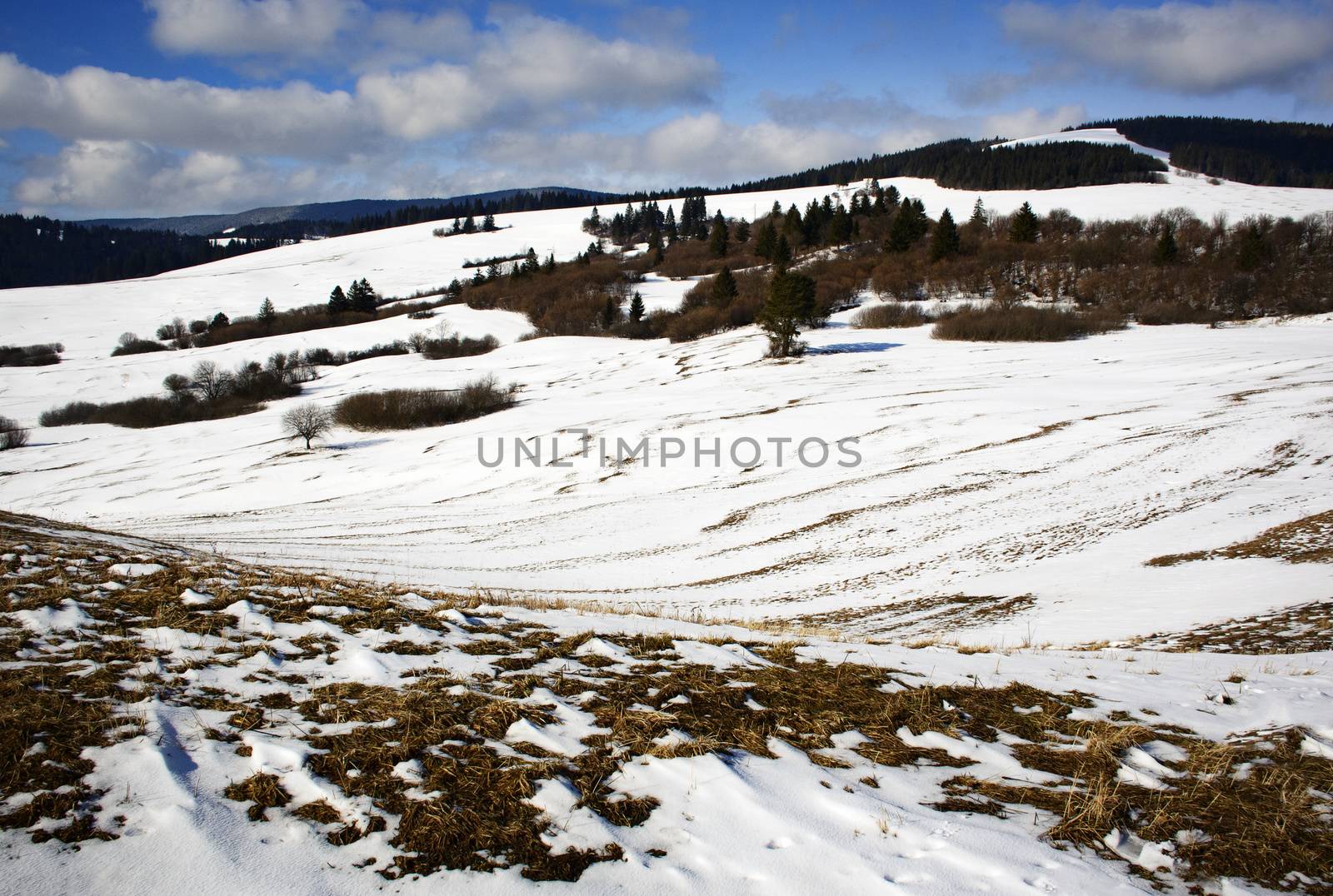 spring landscape with melting snow by Ahojdoma