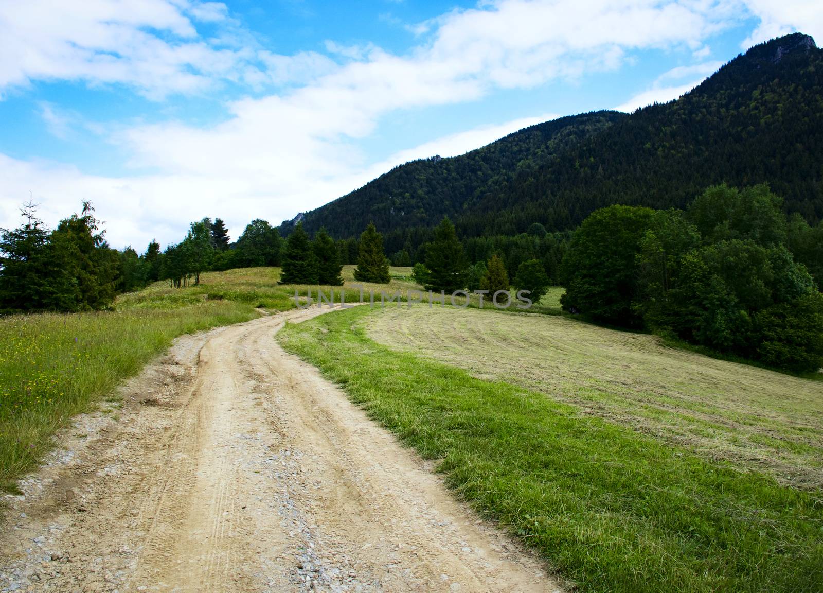 seasonal nature background field path to the mountains