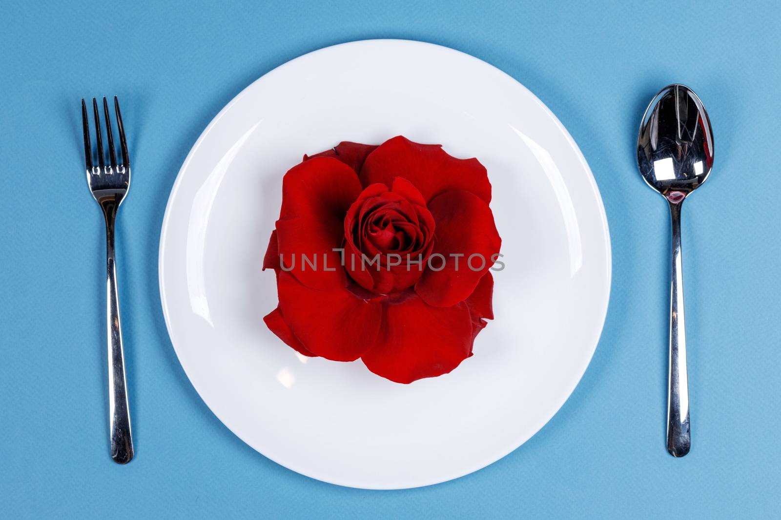 Cutlery set plate rose flower on blue background Valentine day romantic dinner concept