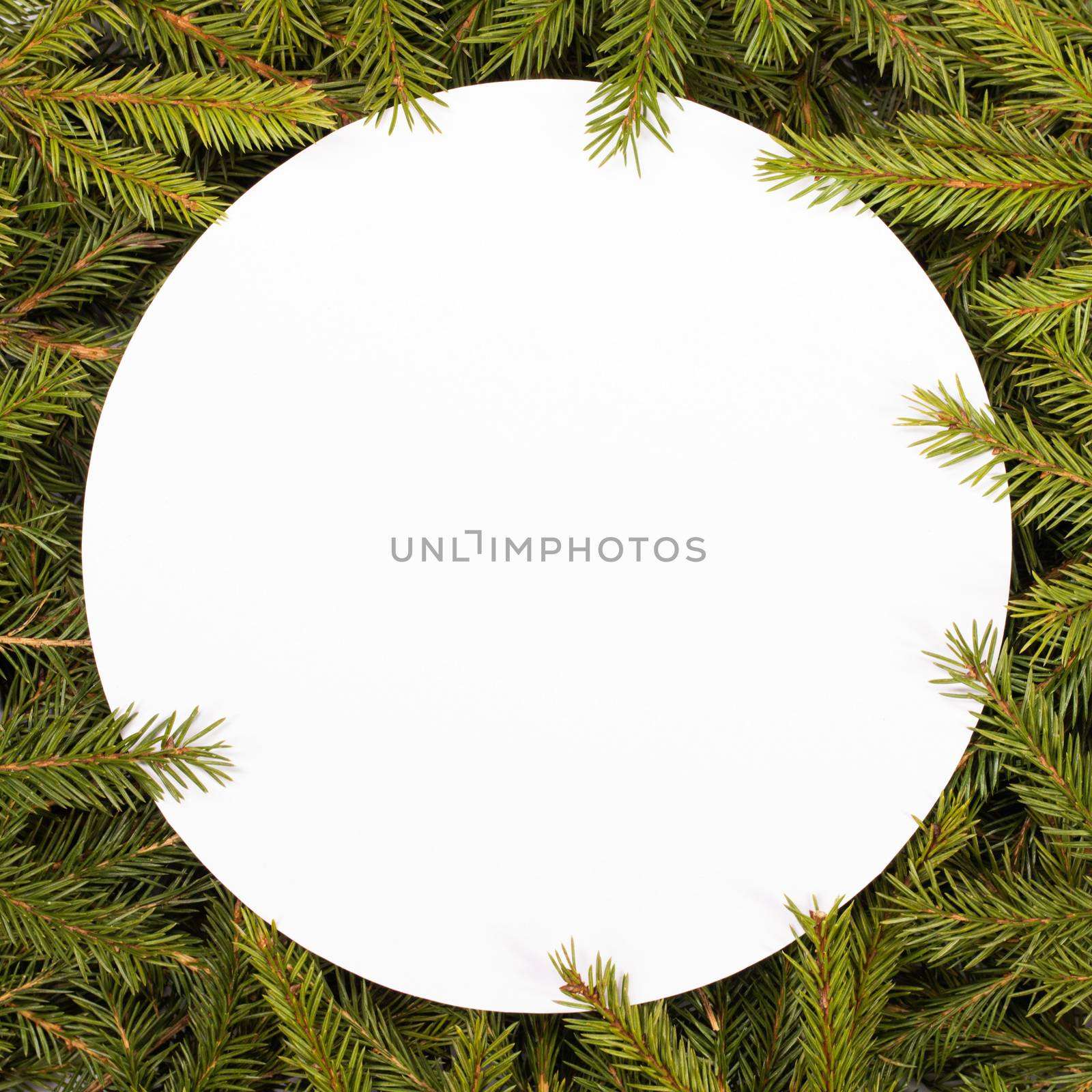 Natural fir Christmas tree round border frame isolated on white , copy space for text
