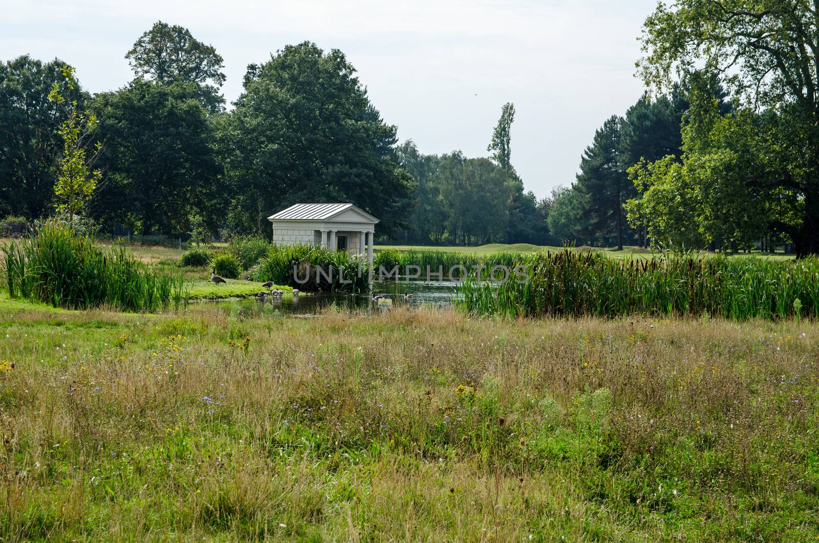 View across the meadow and lake looking towards the Classical style temple used as a boat house at the historic King's Observatory in Old Deer Park, Richond Upon Thames on a sunny summer day