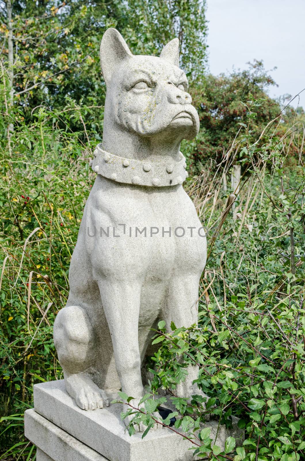 Granite sculpture of an imposing guard dog wearing a thick studded collar at the entrance to the historic King's Observatory in Old Deer Park, Richmond-Upon-Thames, London.