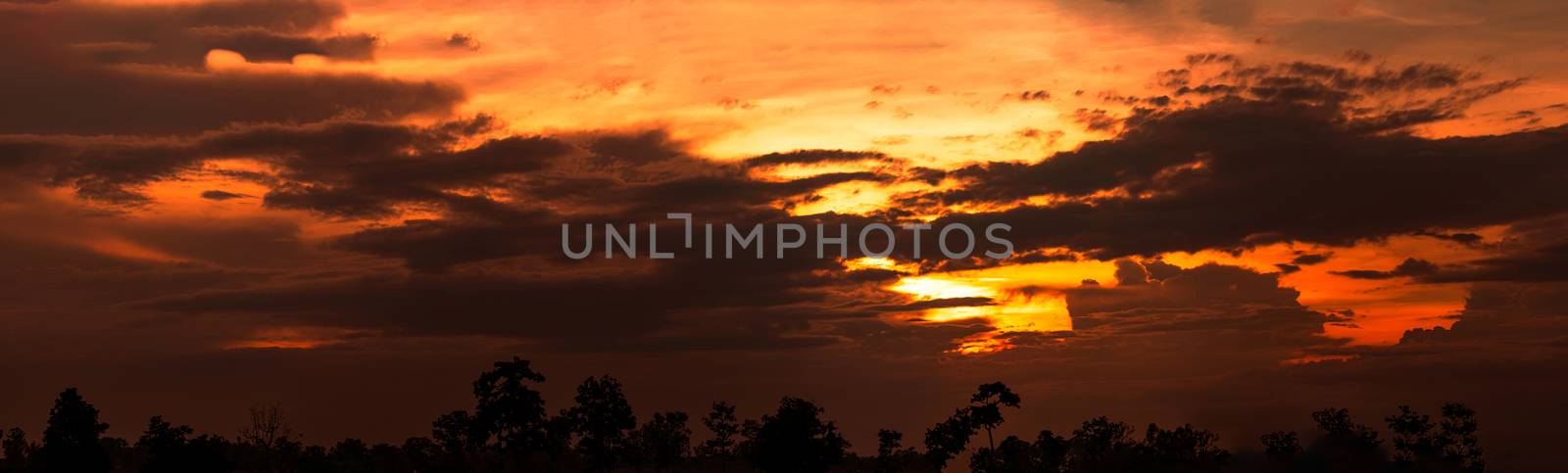 Beautiful sunset sky. Cloudscape. Golden sunset above silhouette by Fahroni