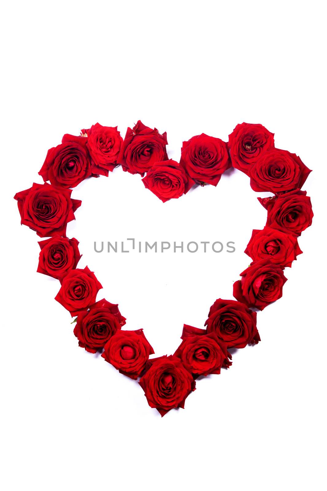Red roses border frame in heart shape isolated on white background, Valentine's Day