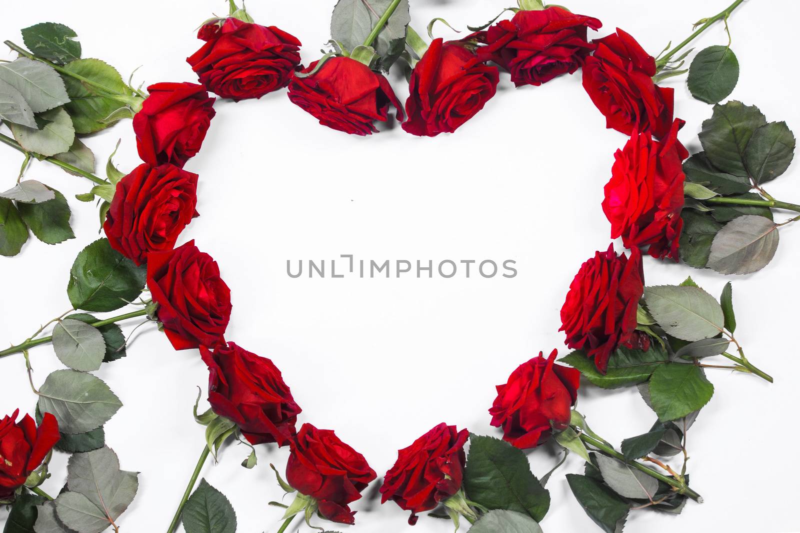 Red roses border frame in heart shape isolated on white background, Valentine's Day
