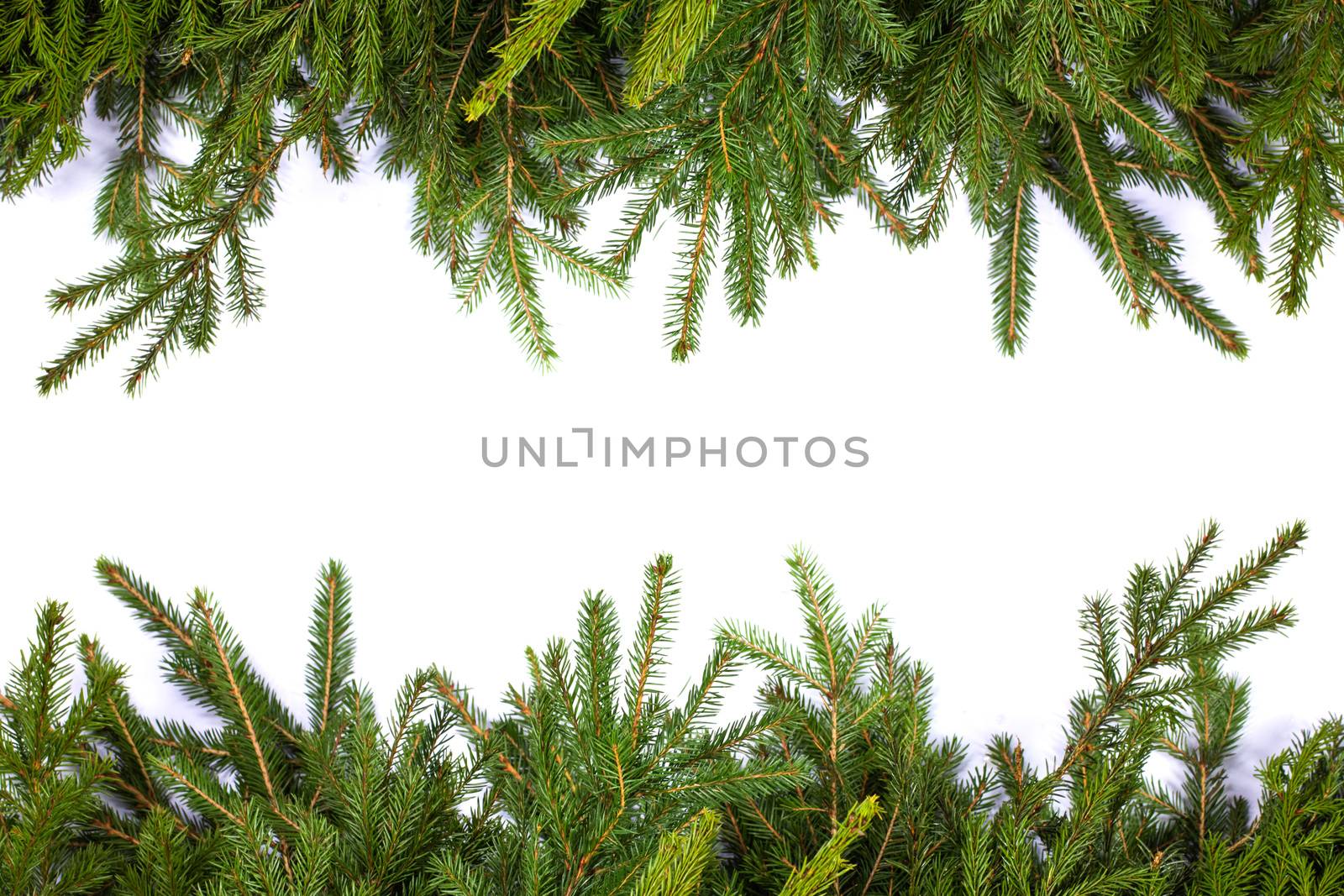 Natural fir Christmas tree border frame isolated on white , copy space for text