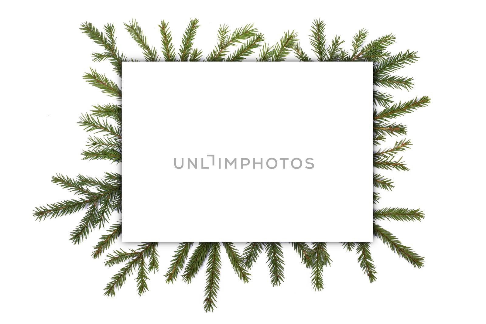 Natural fir Christmas tree border frame isolated on white , copy space for text