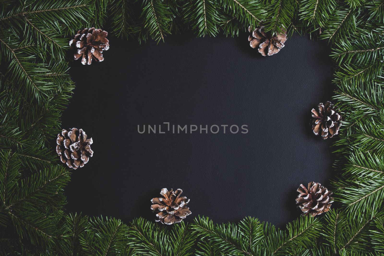 Pine Christmas tree branches cones on black paper background flat lay top view mock-up