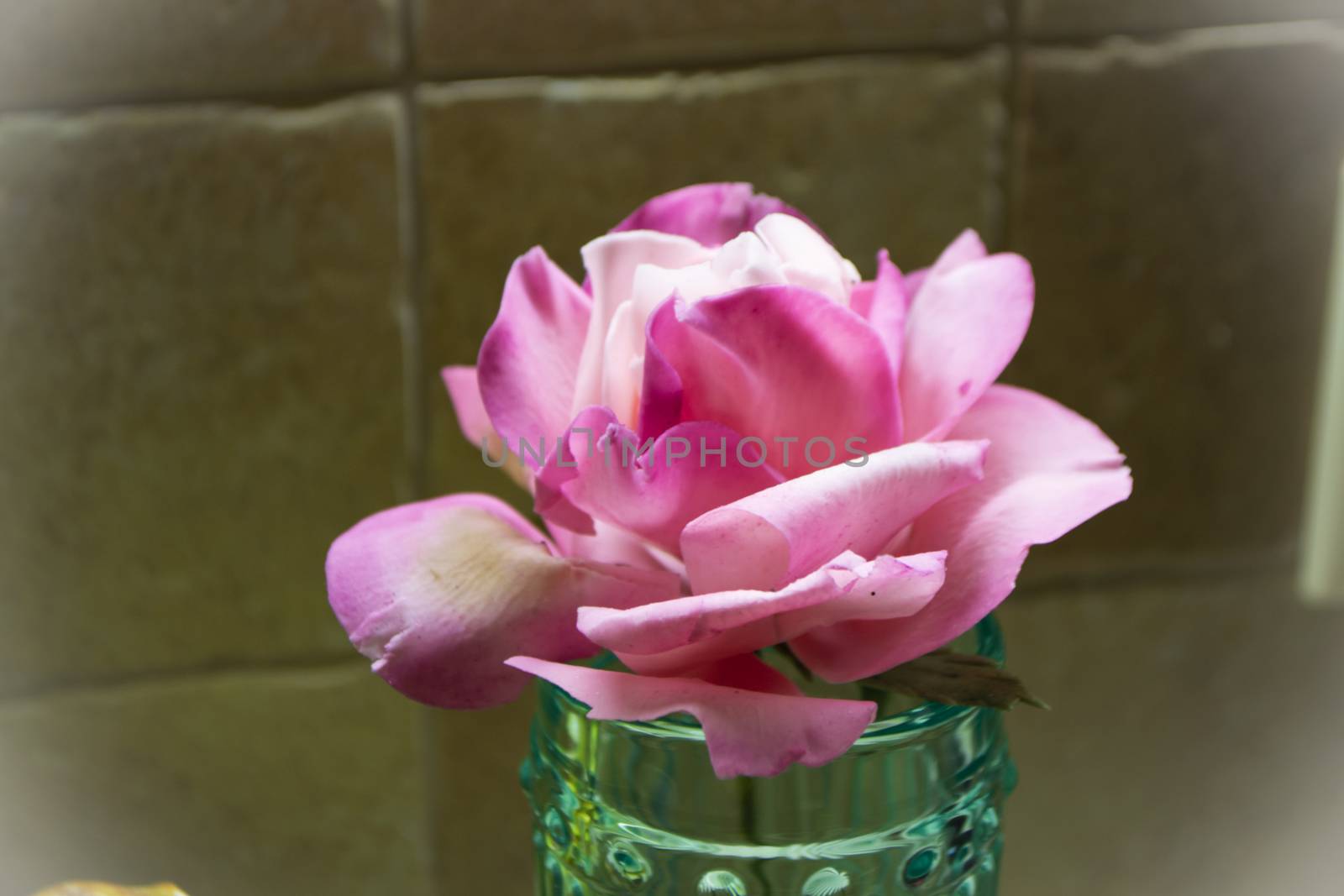 Wine pink color rose. The flower is handmade by sugar fondant paste