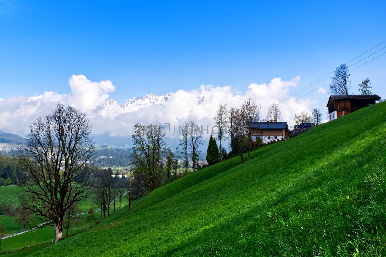 Spring meadow view in Tyrolean alps. Green meadow landscape in Tyrol, Austria