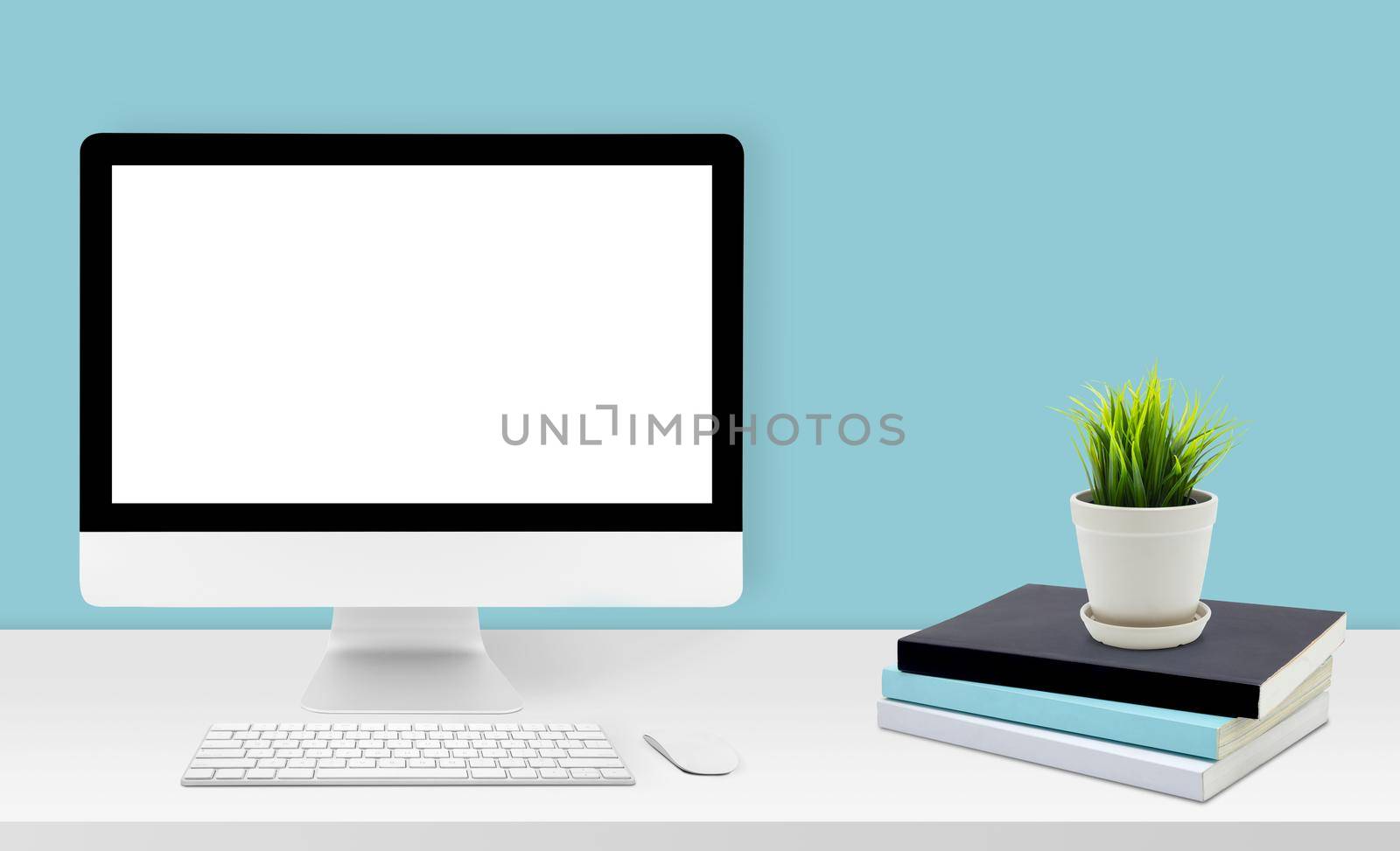 Mockup desktop computer display blank screen on desk in office, workspace with mock up computer screen empty and keyboard, mouse, plant and copy space on table in home, business presentation concept.