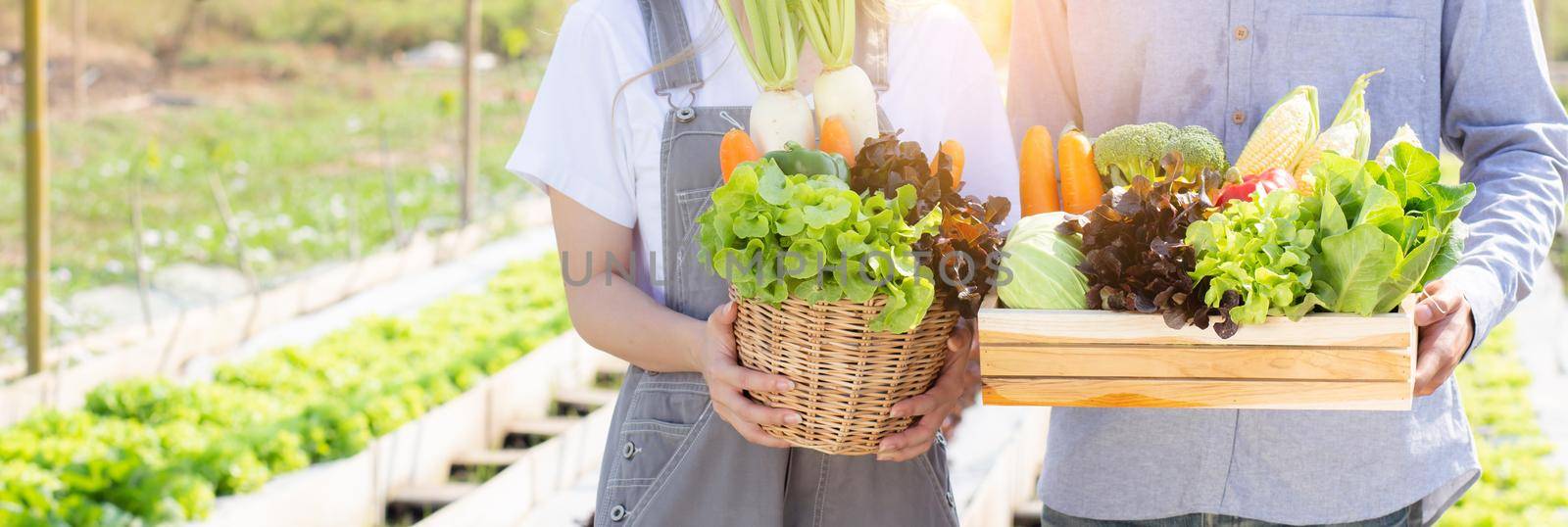 Beautiful young asian woman and man harvest and picking up fresh organic vegetable garden in basket at hydroponic farm, agriculture for healthy food and business entrepreneur concept, banner website. by nnudoo