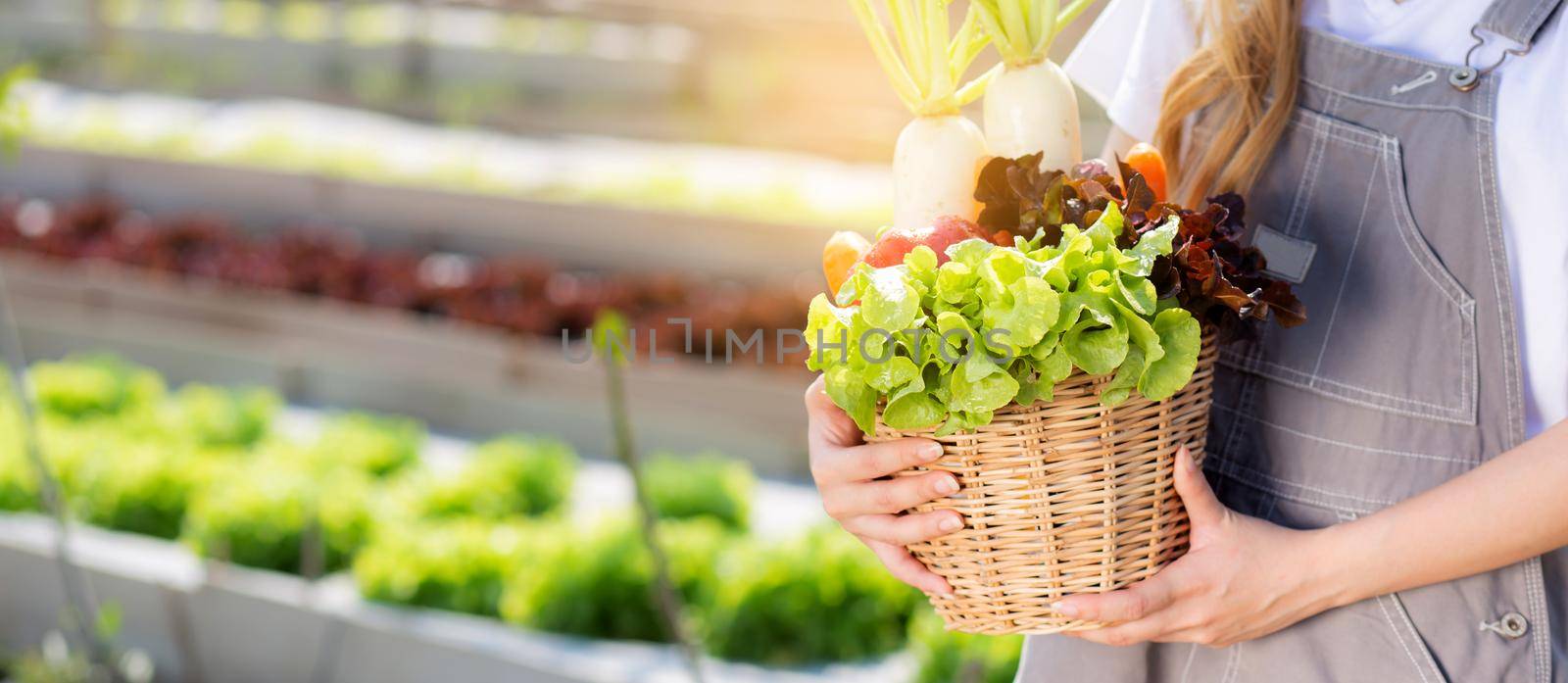 Beautiful portrait young asian woman harvest and picking up fresh organic vegetable garden in basket in the hydroponic farm, agriculture for healthy food and business concept, banner website.