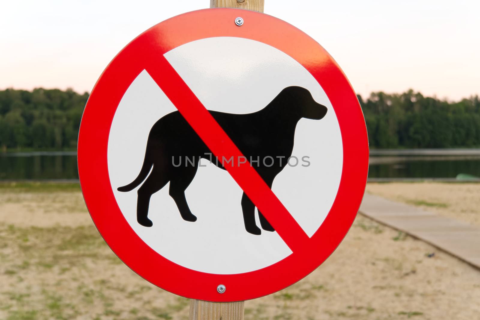 No dog sign on a city beach. no pets allowed sign. by PhotoTime