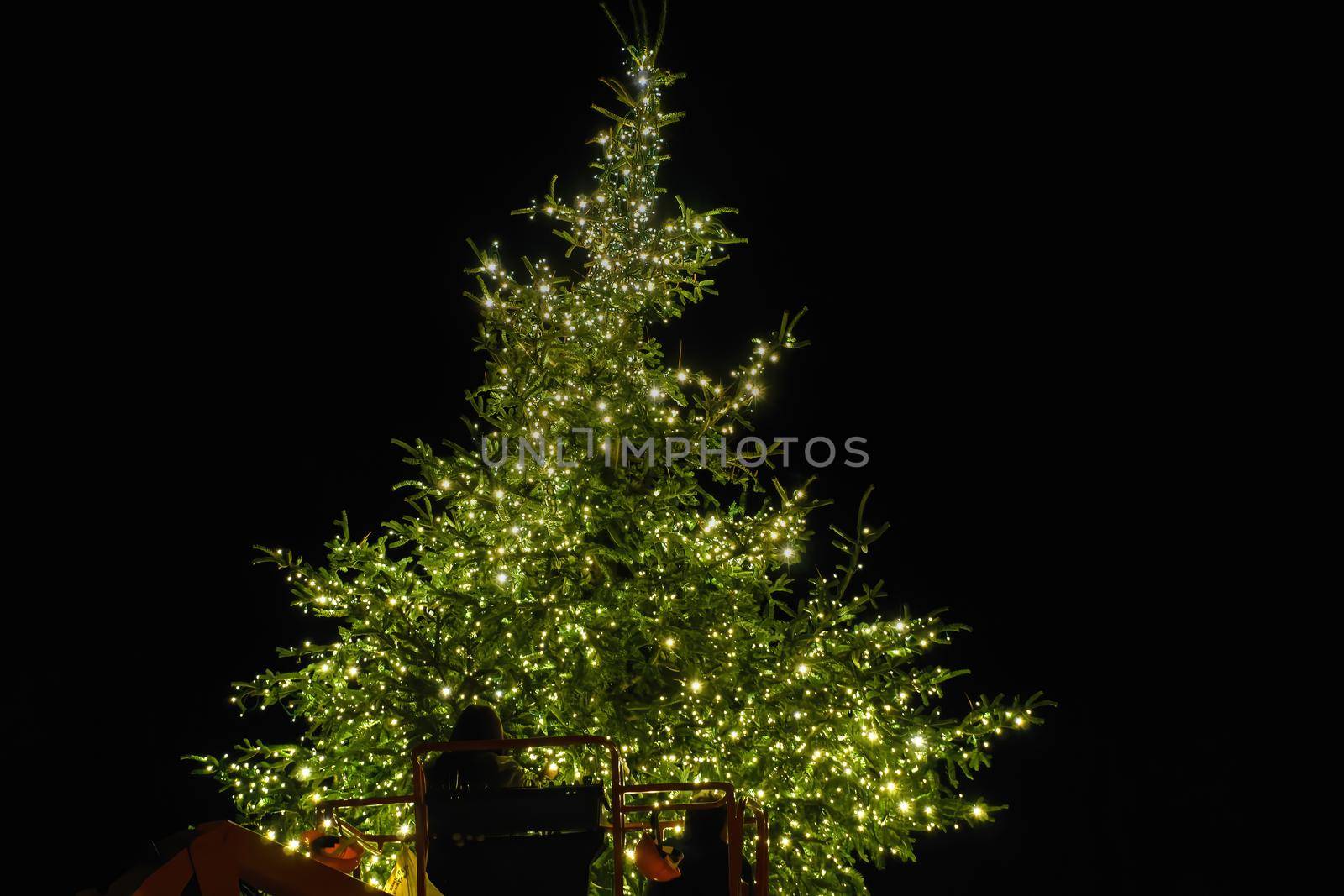 Night view of festive instalments with lit bulbs on a big pine at Aristotelous square in Thessaloniki, Greece.