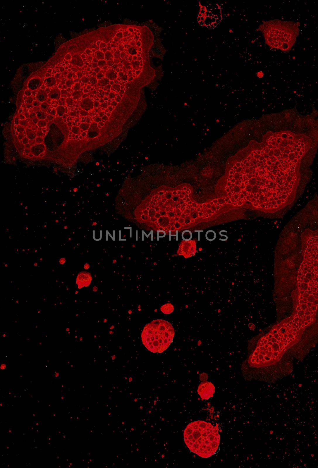 Abstract grunge cellular background against black