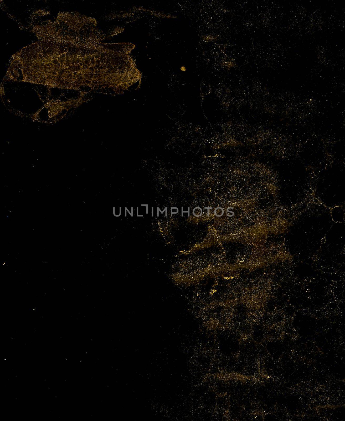 Abstract grunge cellular background by Lirch