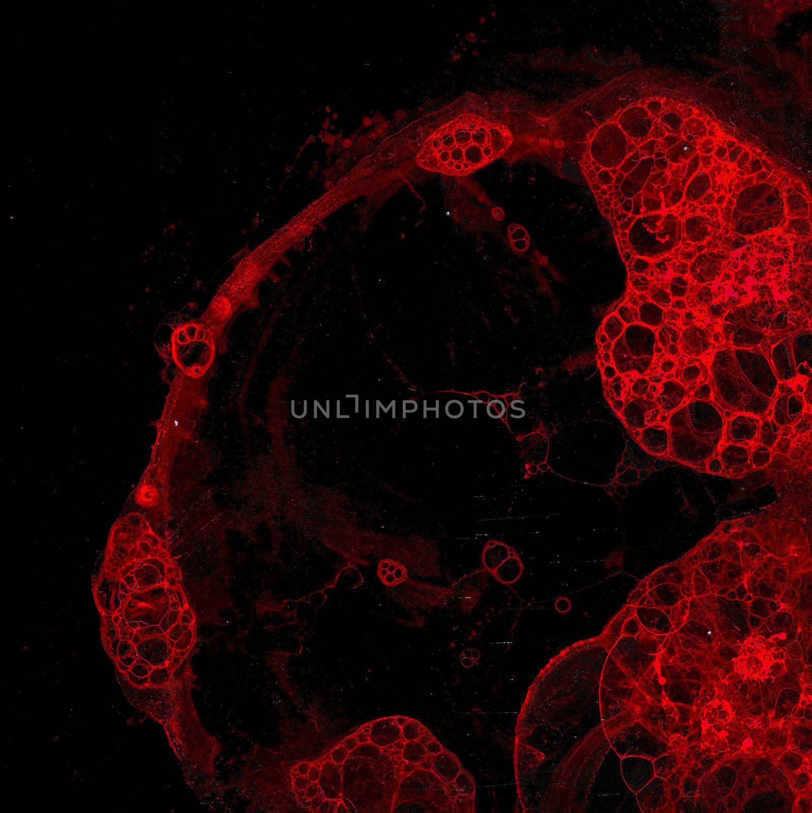 Abstract grunge cellular background against black