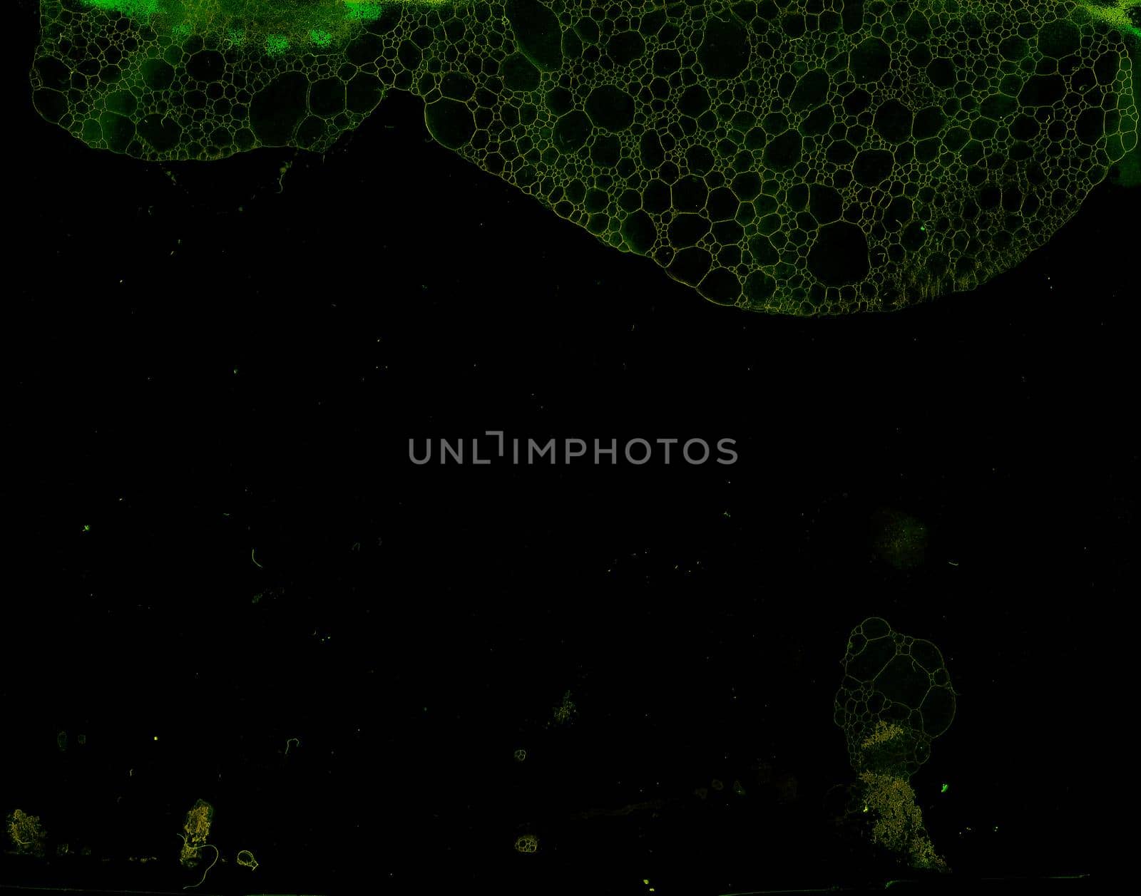 Abstract grunge cellular background against black