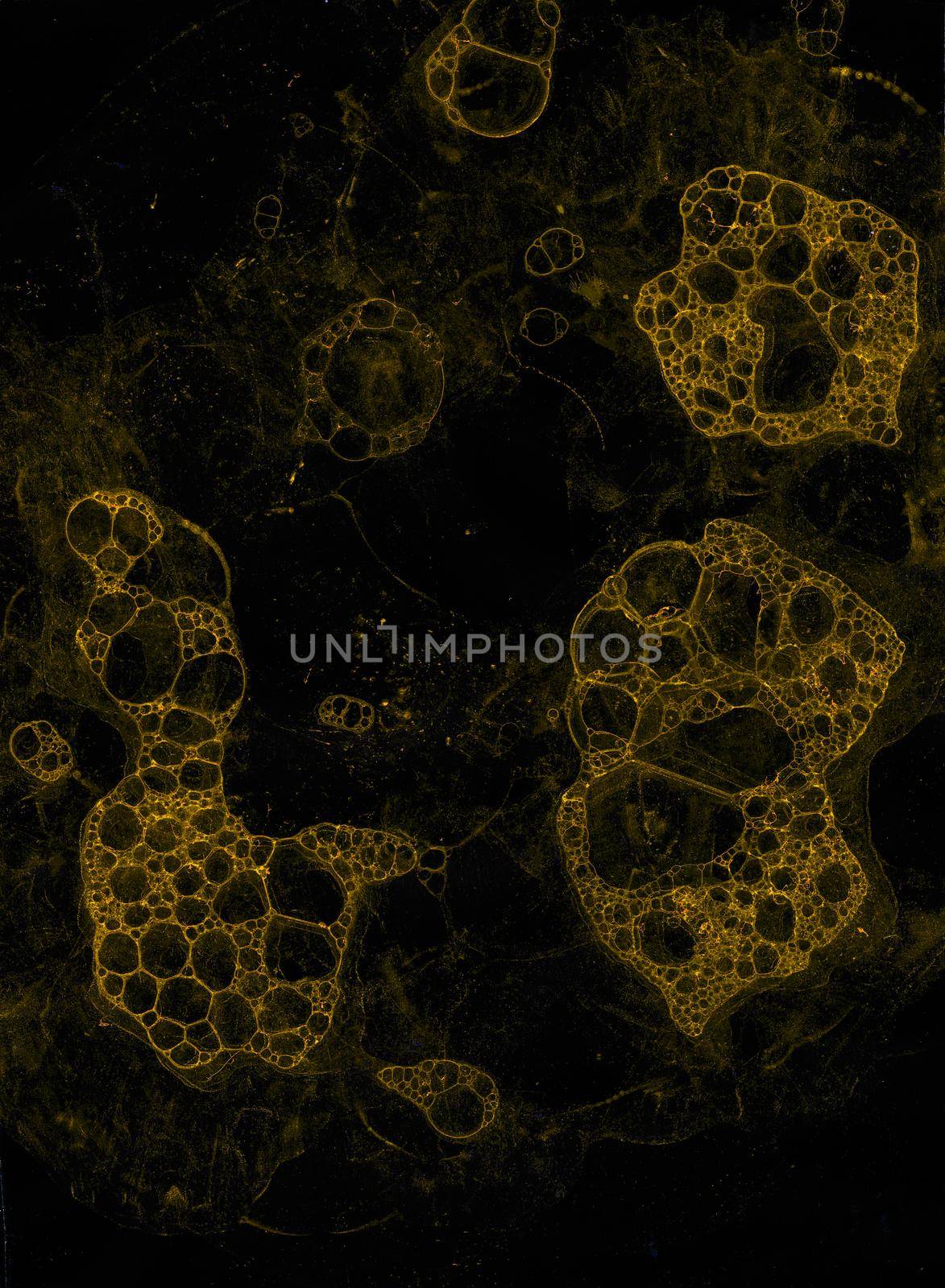 Abstract grunge cellular background against black