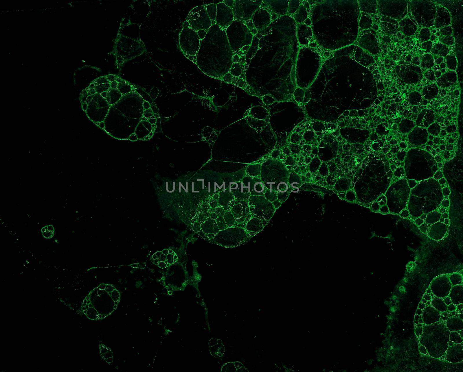 Abstract grunge cellular background by Lirch