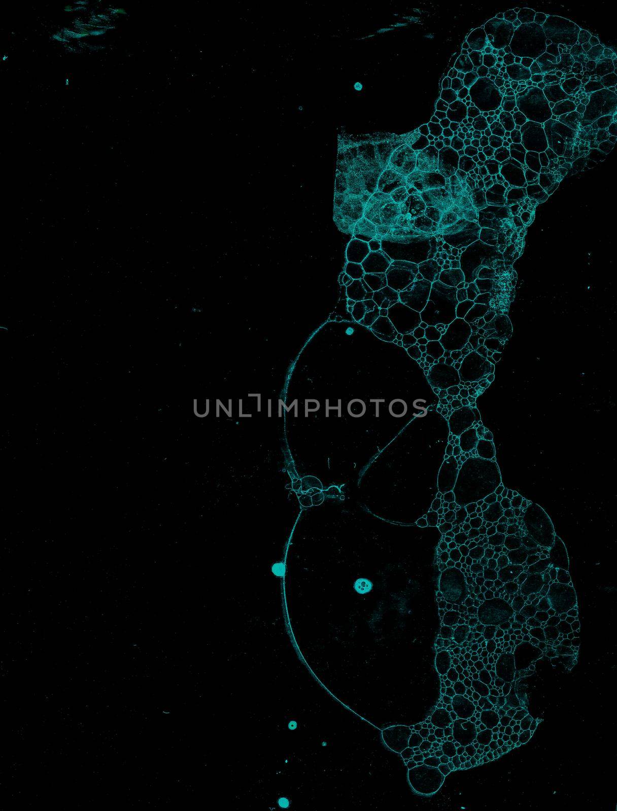 Abstract grunge cellular background by Lirch