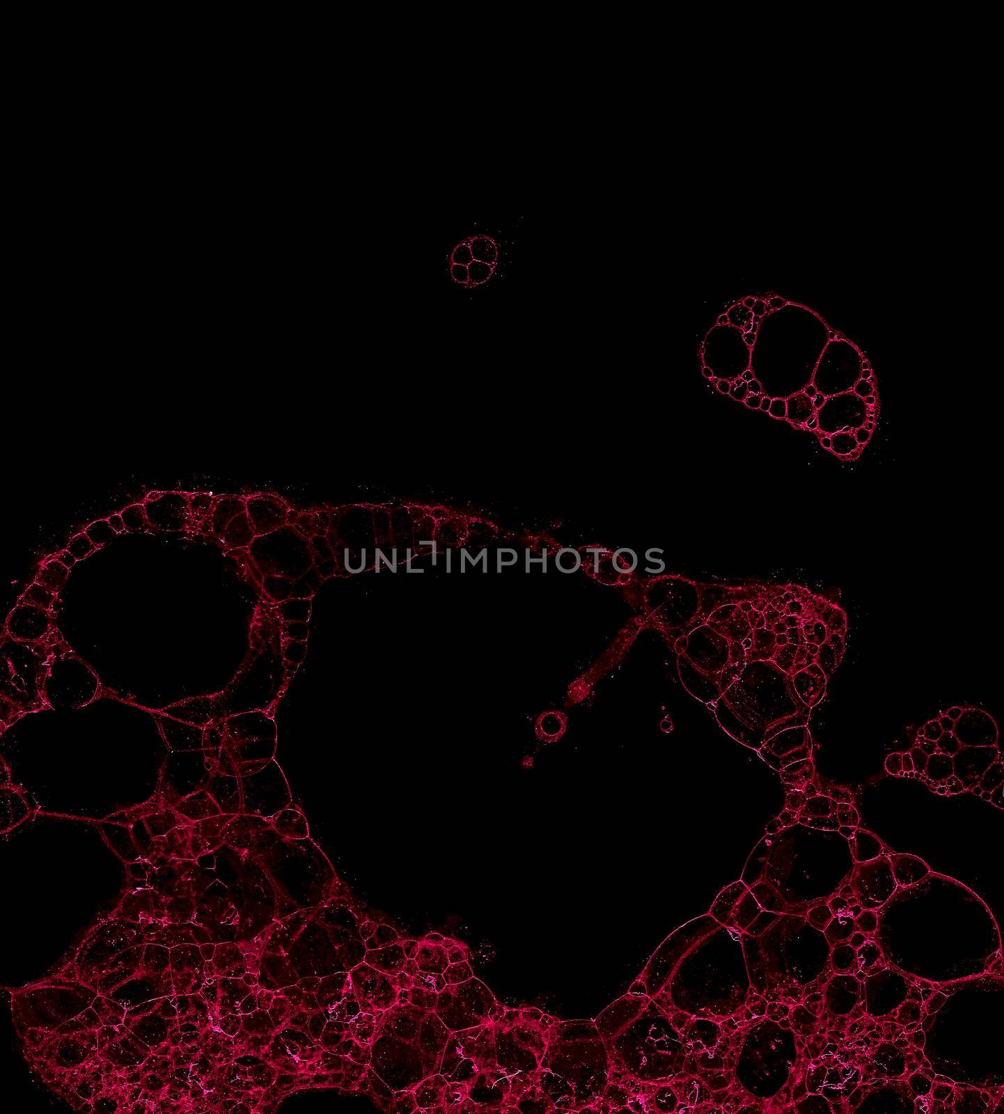 Abstract grunge cellular background against black