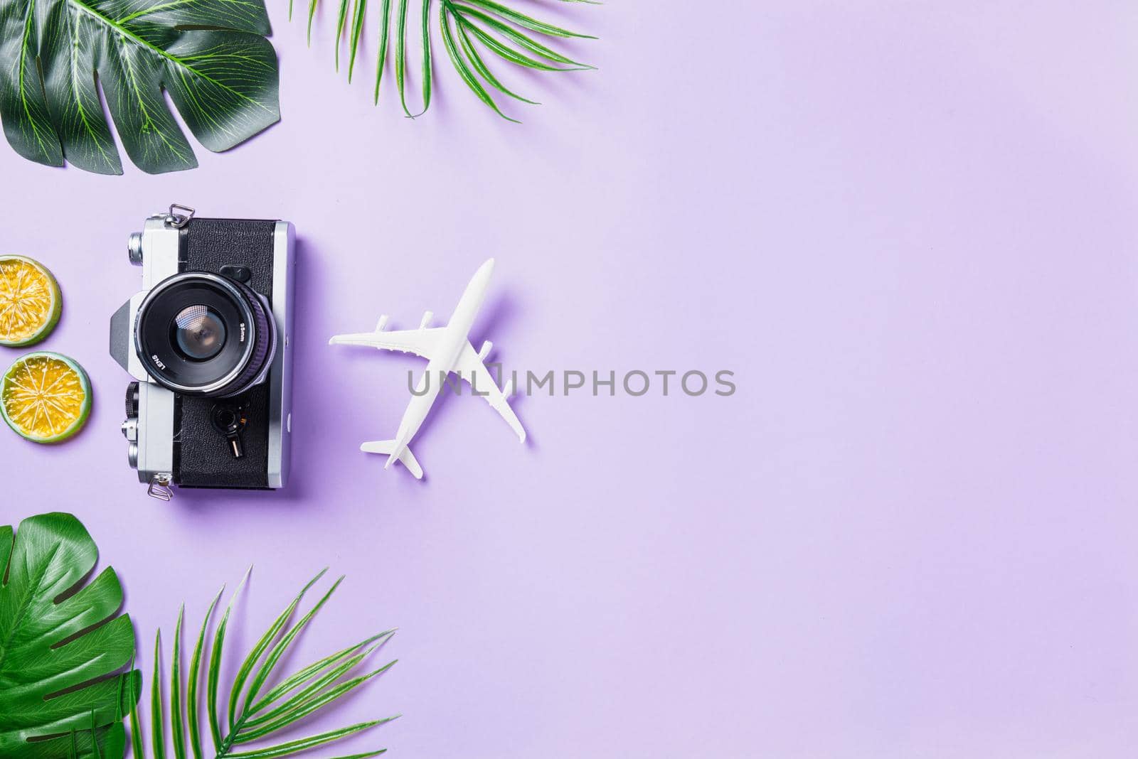 camera films, airplane, leaves and traveler accessories