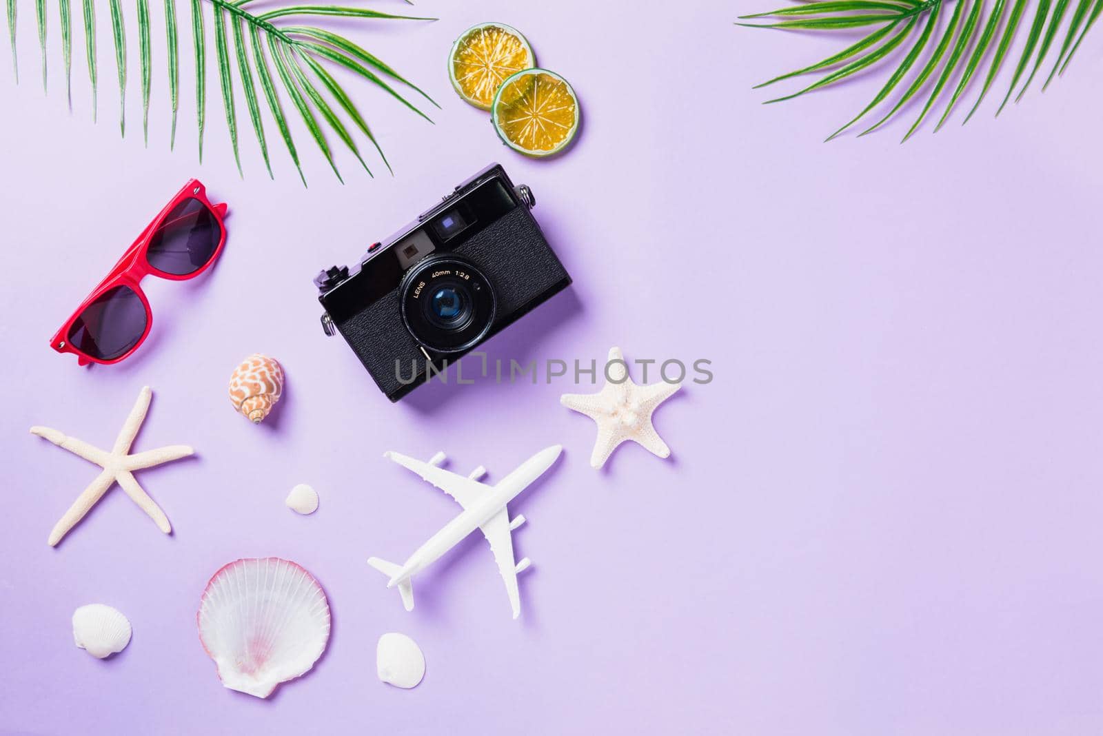 camera films, airplane, sunglasses, leaves, starfish beach traveler accessories