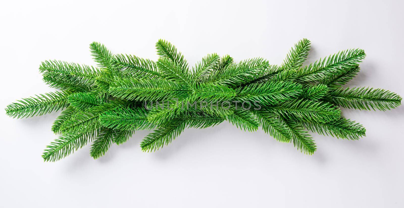 Christmas holiday garland fir tree border branch