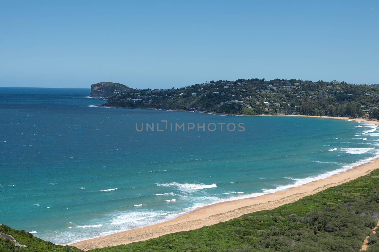 The palm beach of Sydney Australia with beautiful clear sky.