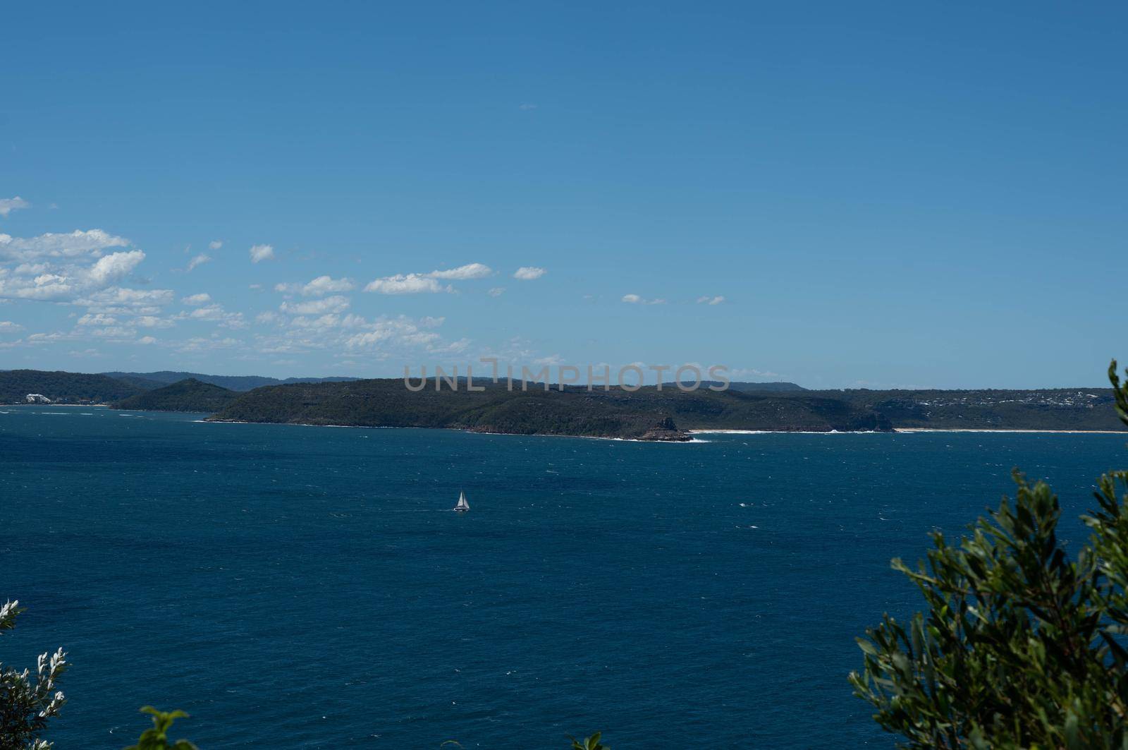 The palm beach of Sydney Australia with beautiful clear sky.