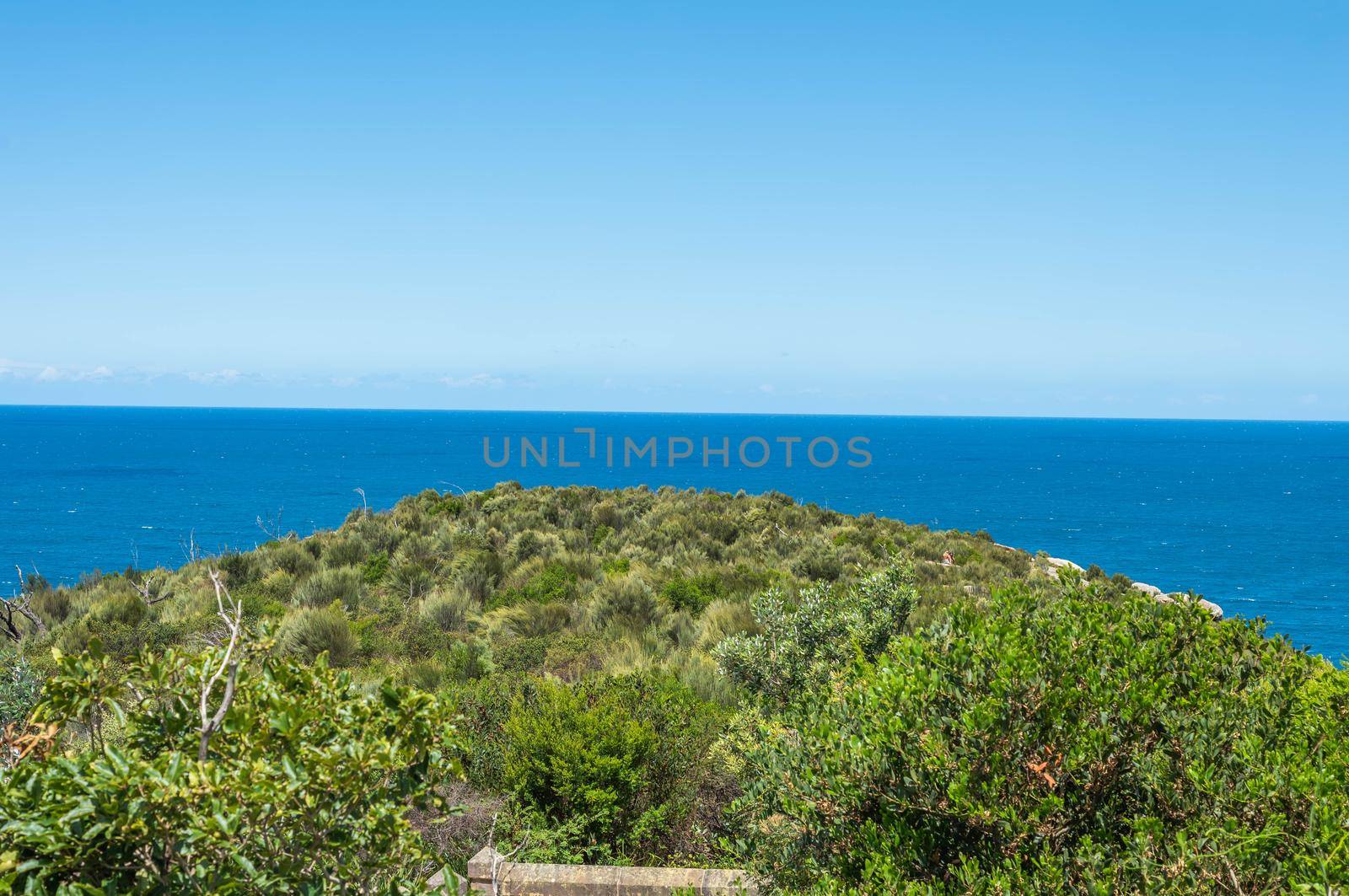 The palm beach of Sydney Australia with beautiful clear sky.