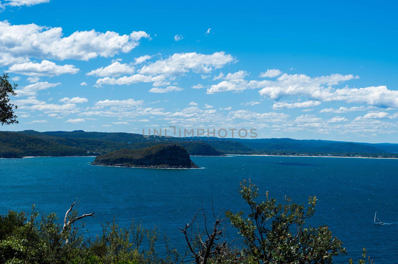 The palm beach of Sydney Australia with beautiful clear sky.