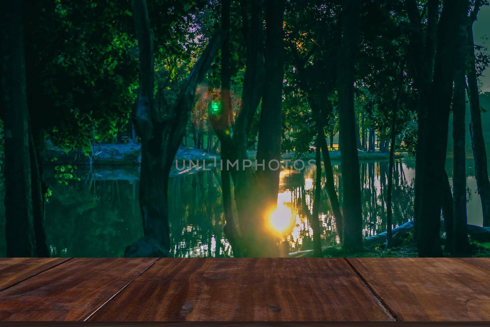 morning sunlight on lake pond in park.