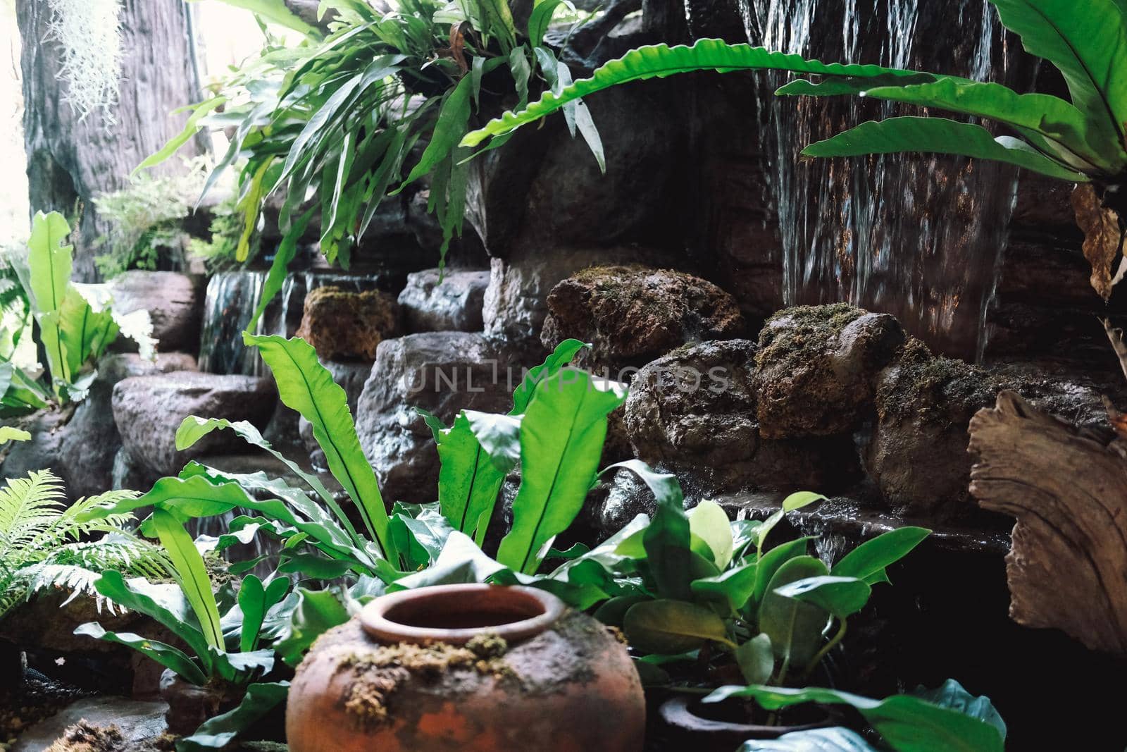 green leaves plant decorating in garden