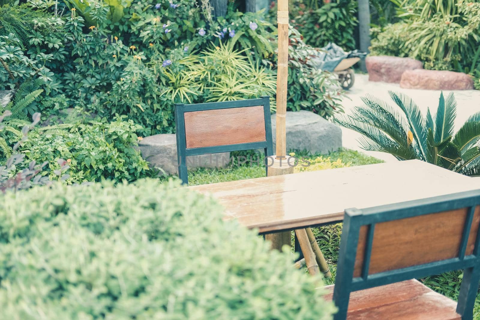 wooden chair seat in garden park