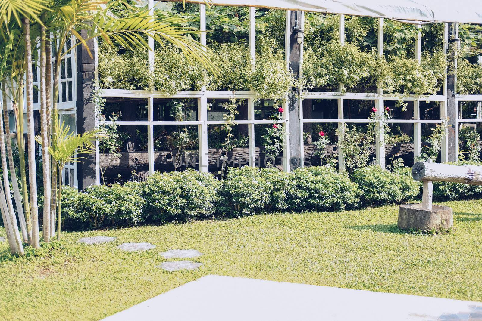 gazebo pergola for growing plant tree in garden