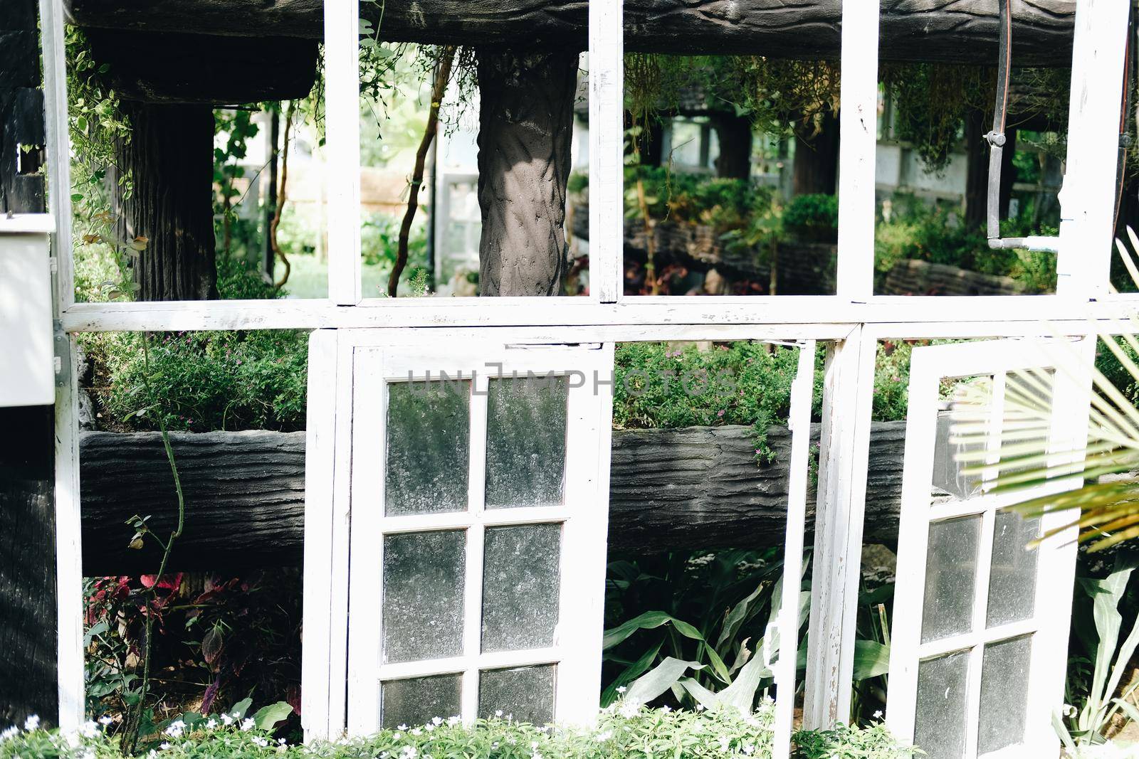 gazebo pergola for growing plant tree in garden