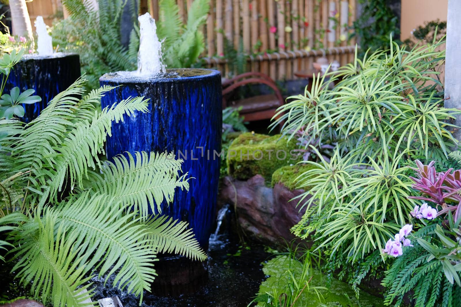 green leaves plant decorating in garden