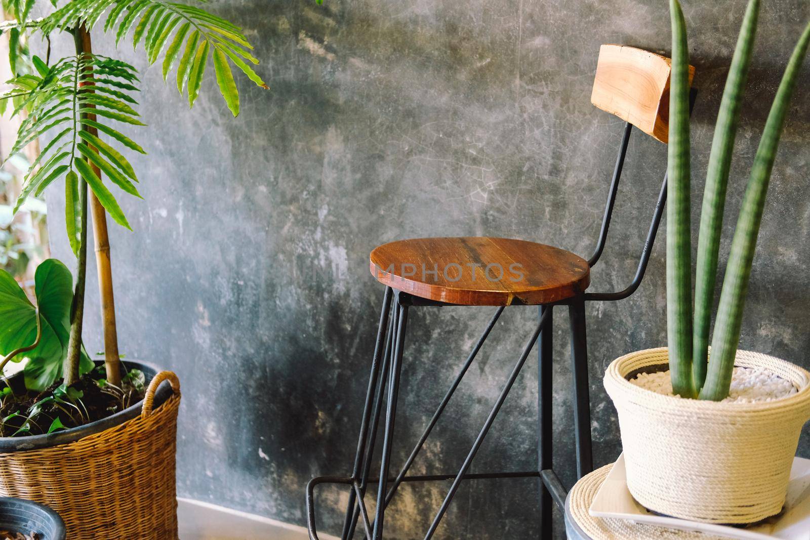 wooden chair and decorative plant in pot.
