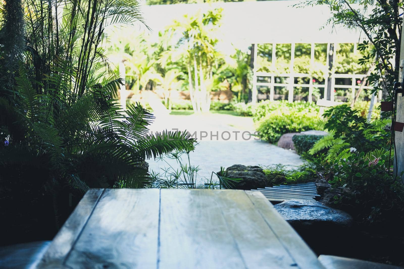 green leaves plant decorating in garden