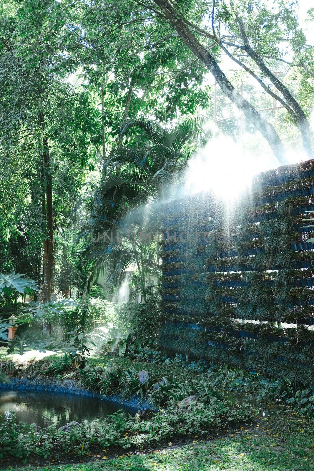 morning sunlight on mist in garden.